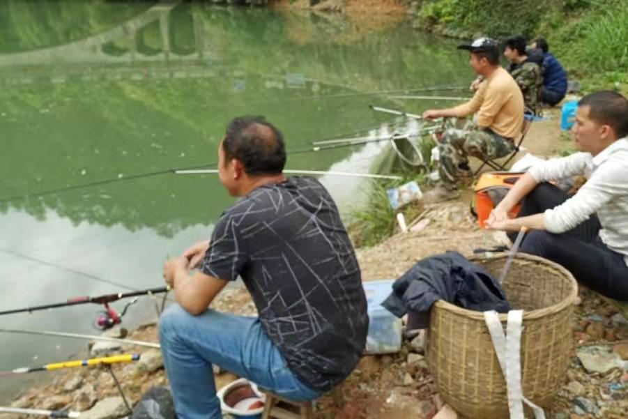 鳊鱼咋样钓,钓鳊鱼怎么钓效果最好呢