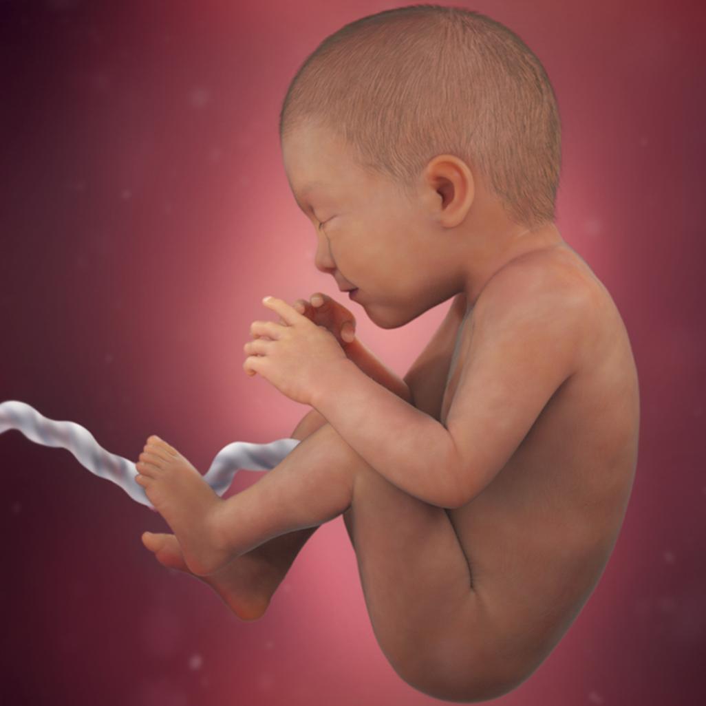 怀孕40周胎宝宝每周长什么样,怀孕40周胎停什么原因