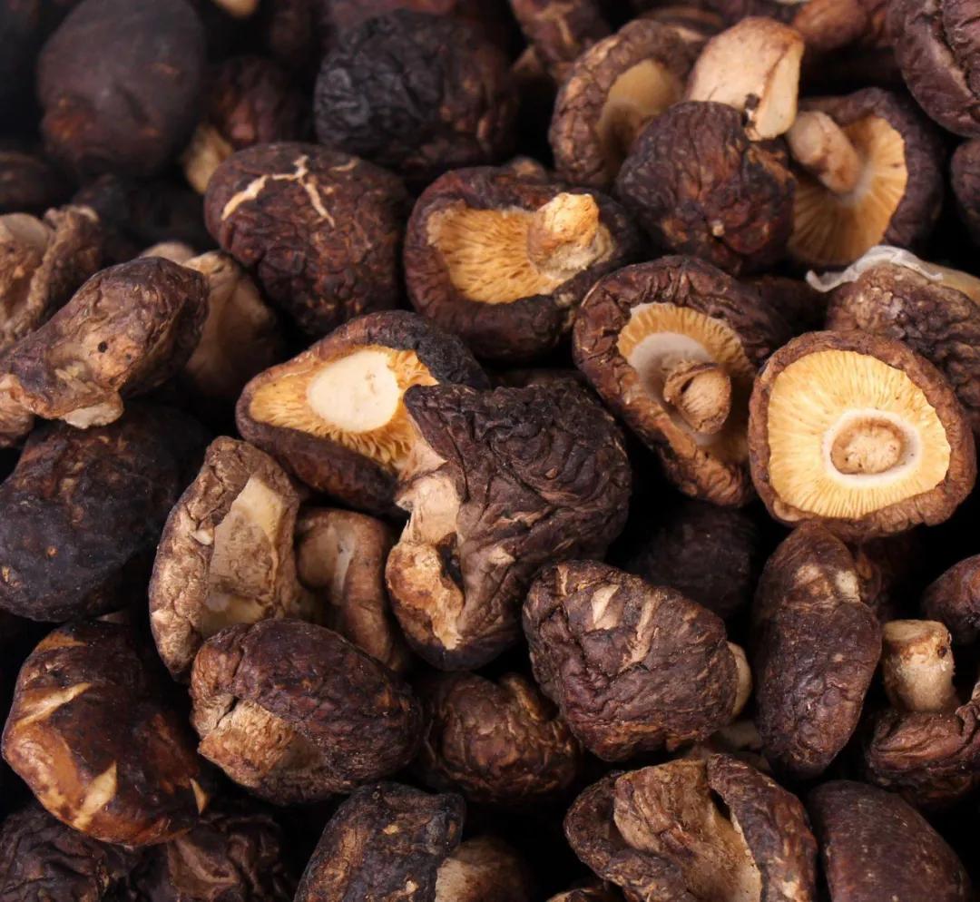 商洛人都不知道的特产,商洛野果特产