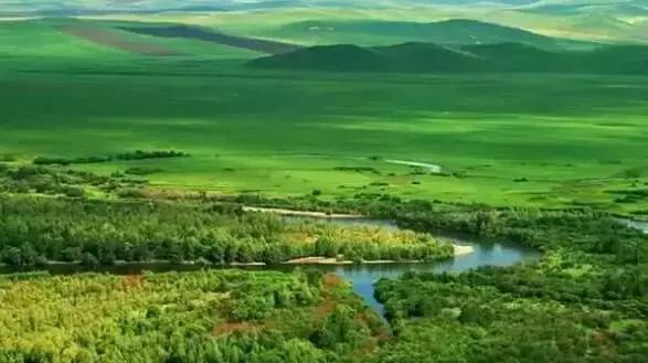 牛原本个人资料,内蒙古牛能有多大