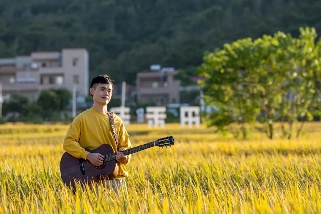 惠阳的稻田,惠阳稻田美景