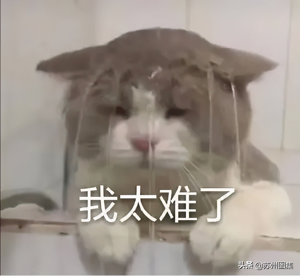 苏州超高层建筑排行,苏州超高层最新进展