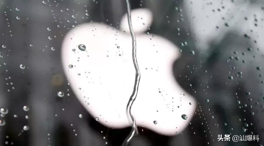 爆红五年后,爆红十年