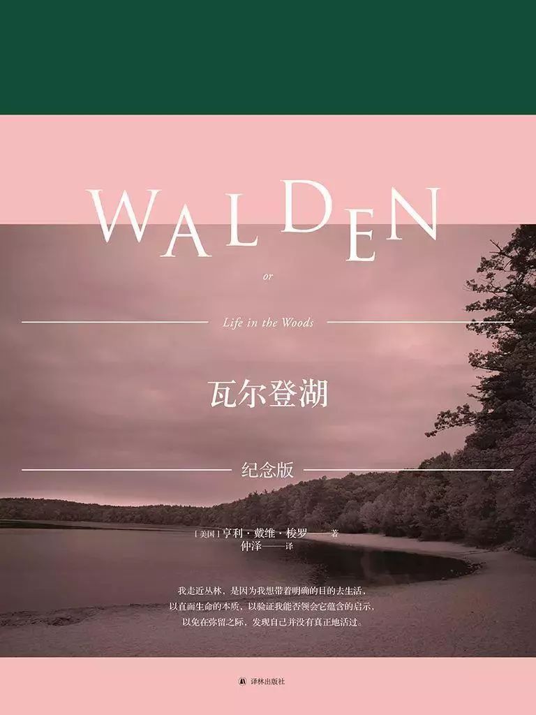 杨绛想得太多书读得太少,杨绛读书太少想得太多原句