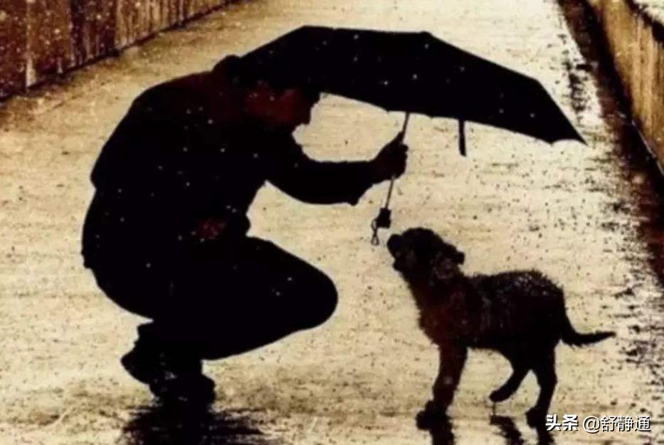 你曾经被哪些陌生人的善意感动过,被陌生人善意的打动