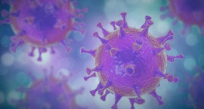 新型冠状病毒的真正名字是什么,新型冠状病毒到底叫什么名字