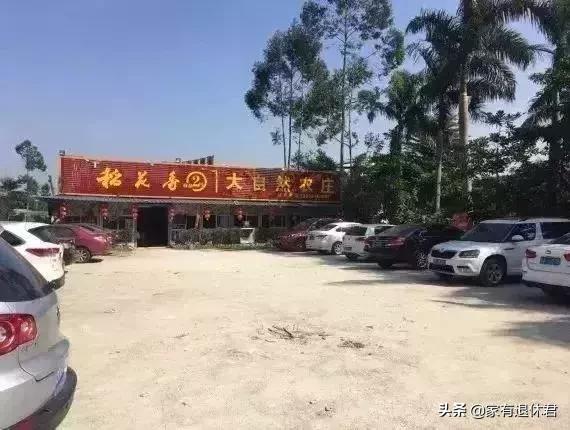 佛山50km徒步全攻略,佛山徒步美食攻略