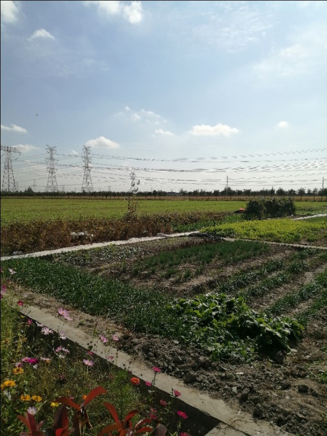 上海八十八亩田地址,上海有七千多多一平方的地方吗