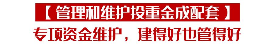 三探“足球桃花源”青岛城阳：人均足球场数量达欧洲足球发达国家水平