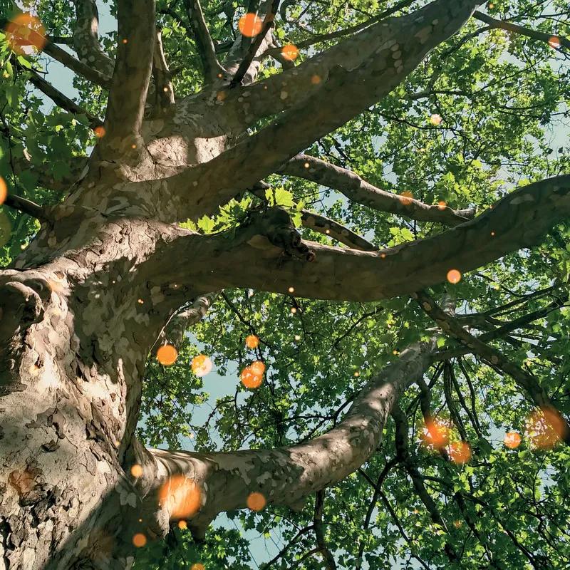 地球日50周年,追求零碳排、资源永续,看美妆品牌为环保做了什么