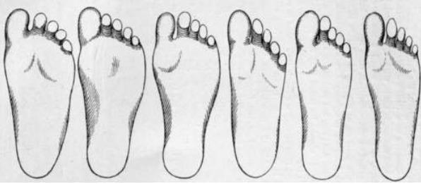 徒步鞋选购攻略,挑选徒步鞋的绝招