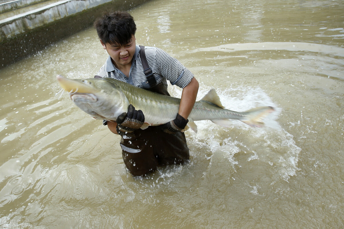 大专十大最好就业专业,大专就业前景好的专业一览表