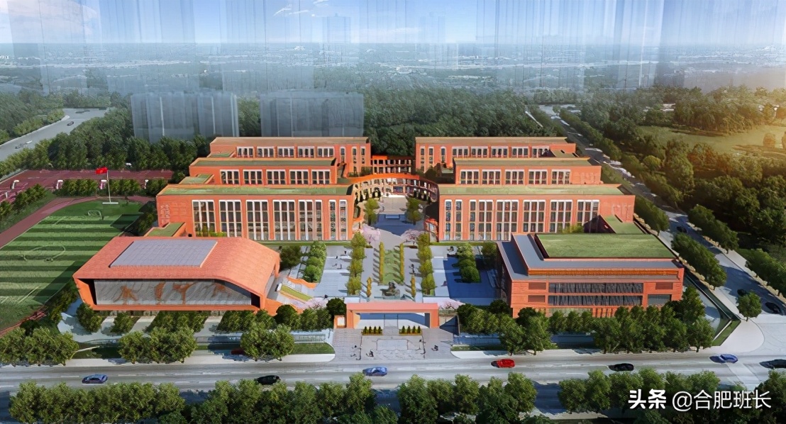 合肥师范附小哪个学校最好,合肥师范附小直属学校