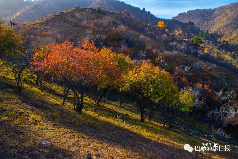 巴彦淖尔五一去处,巴彦淖尔市端午小长假适合去哪玩