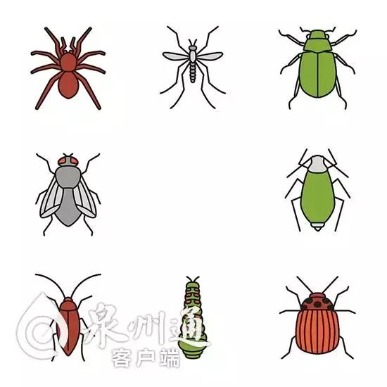 小心！近期这些毒虫出没频繁，已有数人被咬！可致命