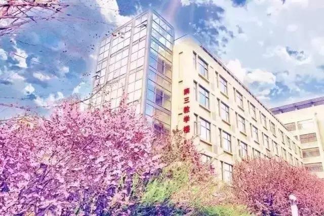 天津最牛的中学是哪个,天津中学排名2020完整版