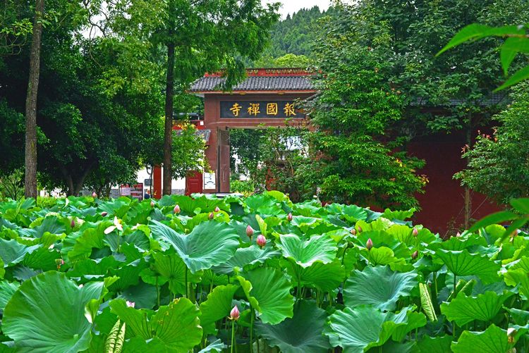 涔愯嚦鑽疯姳鎽勫奖浣滃搧娆ｈ祻,涔愯嚦鍗拌薄鎽勫奖