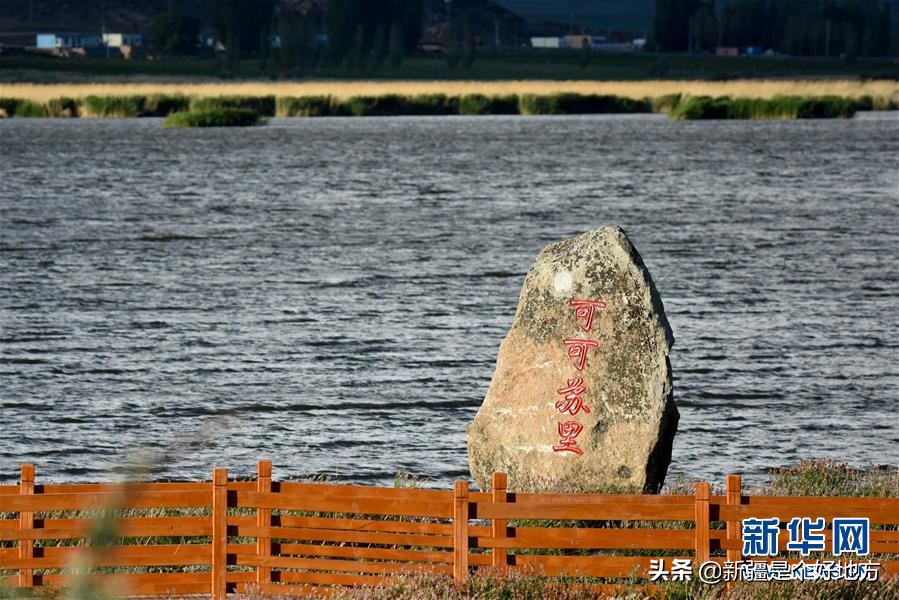 夏季的可可托海视频,夏天可可托海实拍