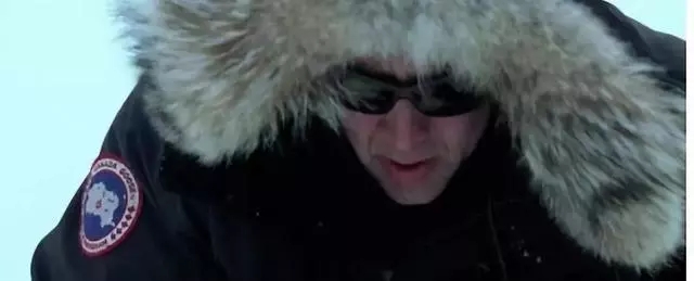 加拿大鹅用的是鸭绒还是鸭毛,加拿大鹅vs波司登羽绒服