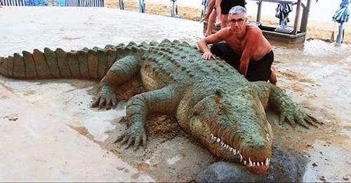 老外沙雕动物视频,外国人沙雕模仿动物