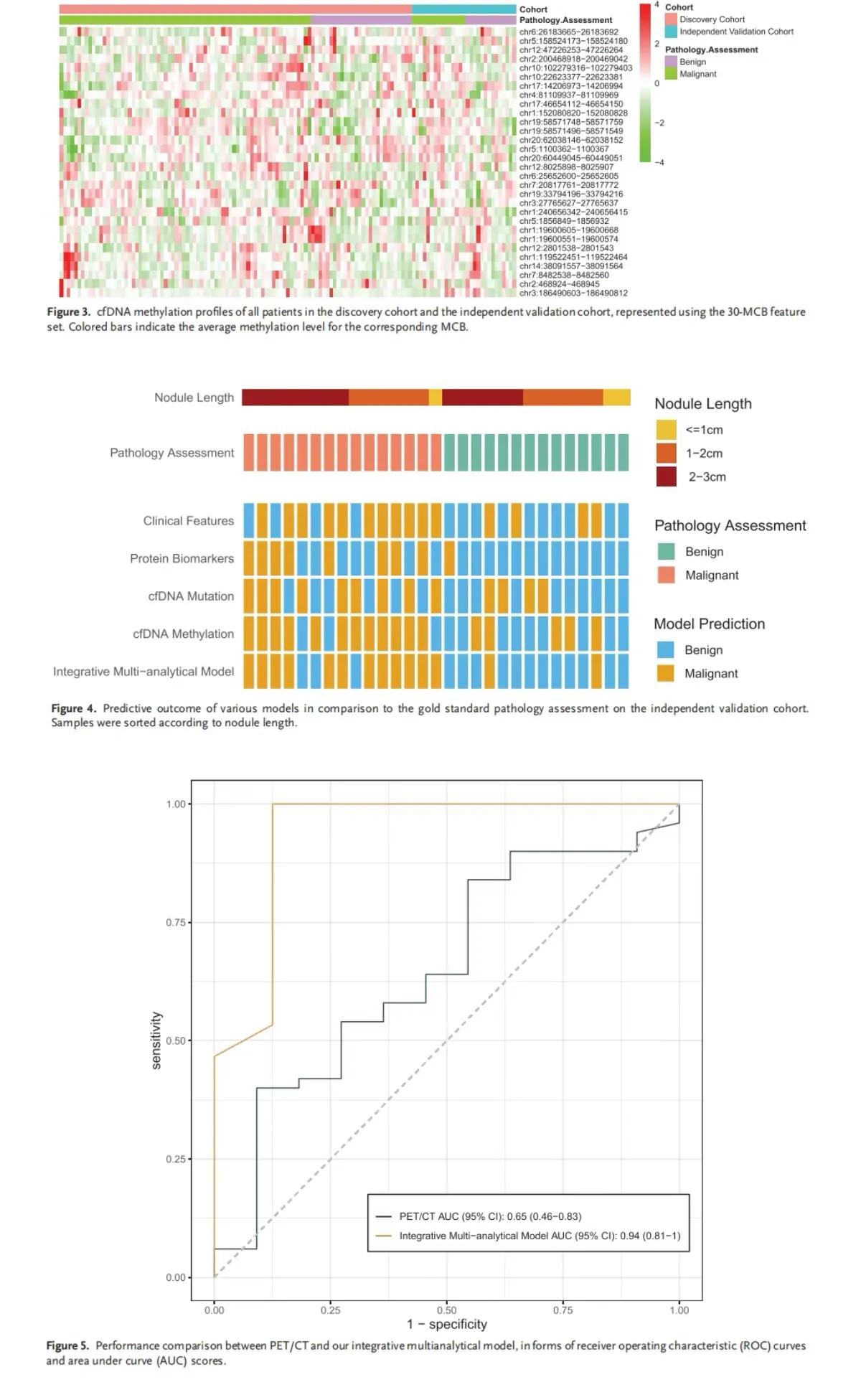 戴纪刚专家团队怎么样,戴纪刚肺部硬结节灶