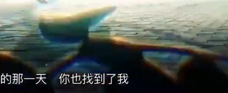 瀹濆彲姊﹂澶寸ぞmv,绮剧伒瀹濆彲姊﹂澶寸ぞmv