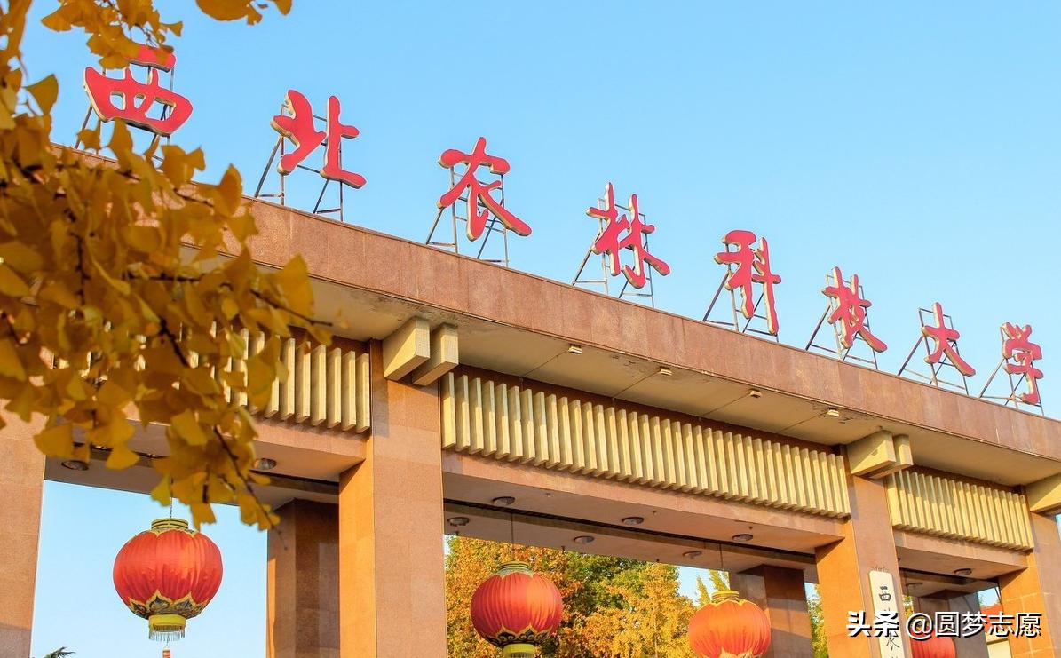 三所名气小但强大的985大学,东南大学在985中属于什么水平