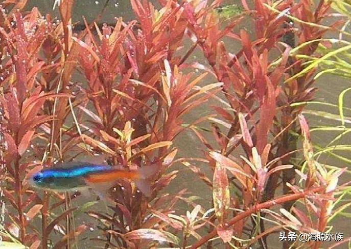 一入酒坑深似海从此钱财是路人,一入茅坑深似海下一句