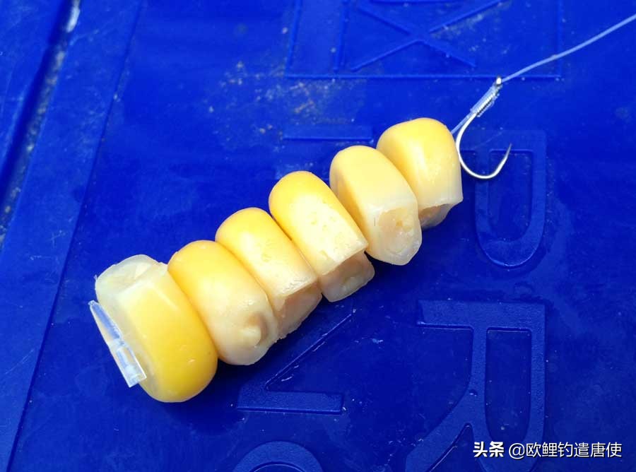 欧鲤钓必须用弯背钩吗,欧鲤钓真的那么厉害吗