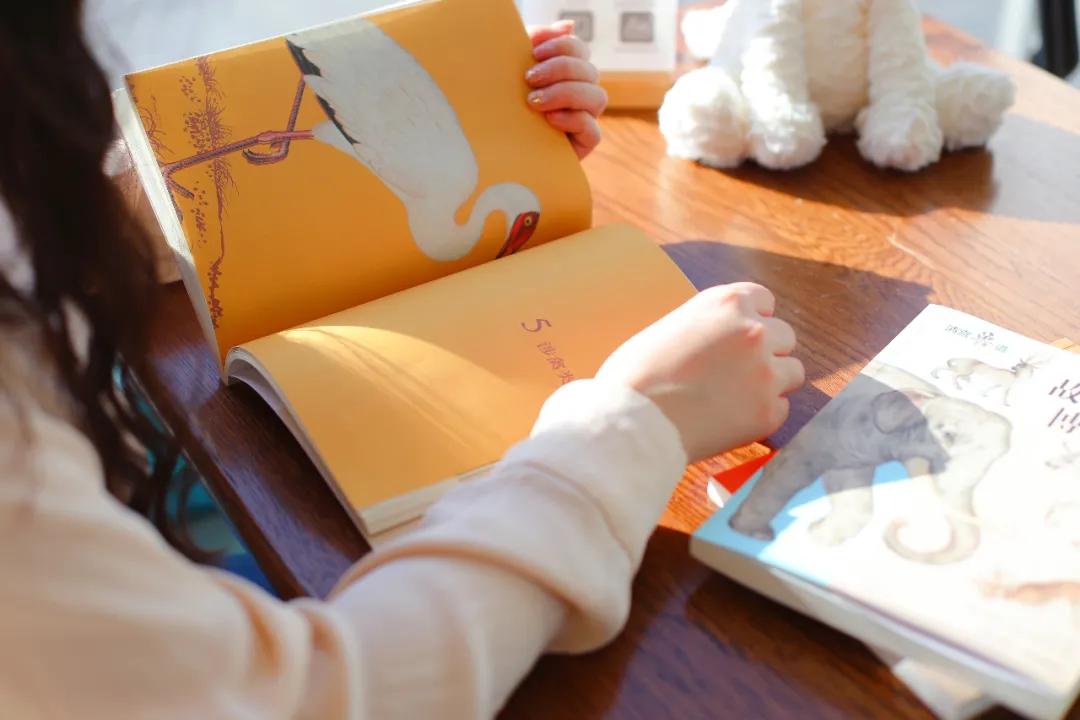 世界那么大我想去看看读书笔记,世界那么大我想去看看古诗