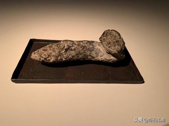 濂囩煶姹熸箹璧忕煶,濂囩煶姹熸箹鐩涗笘璧忕煶鍥剧墖