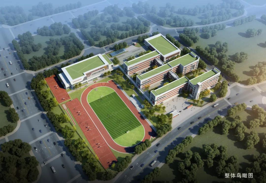 南部新城公立学校哪个好,南部新城的初中有哪些