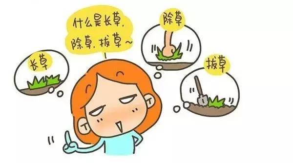 100块搞定全套护肤女大学生推荐,300块搞定夏日全套护肤