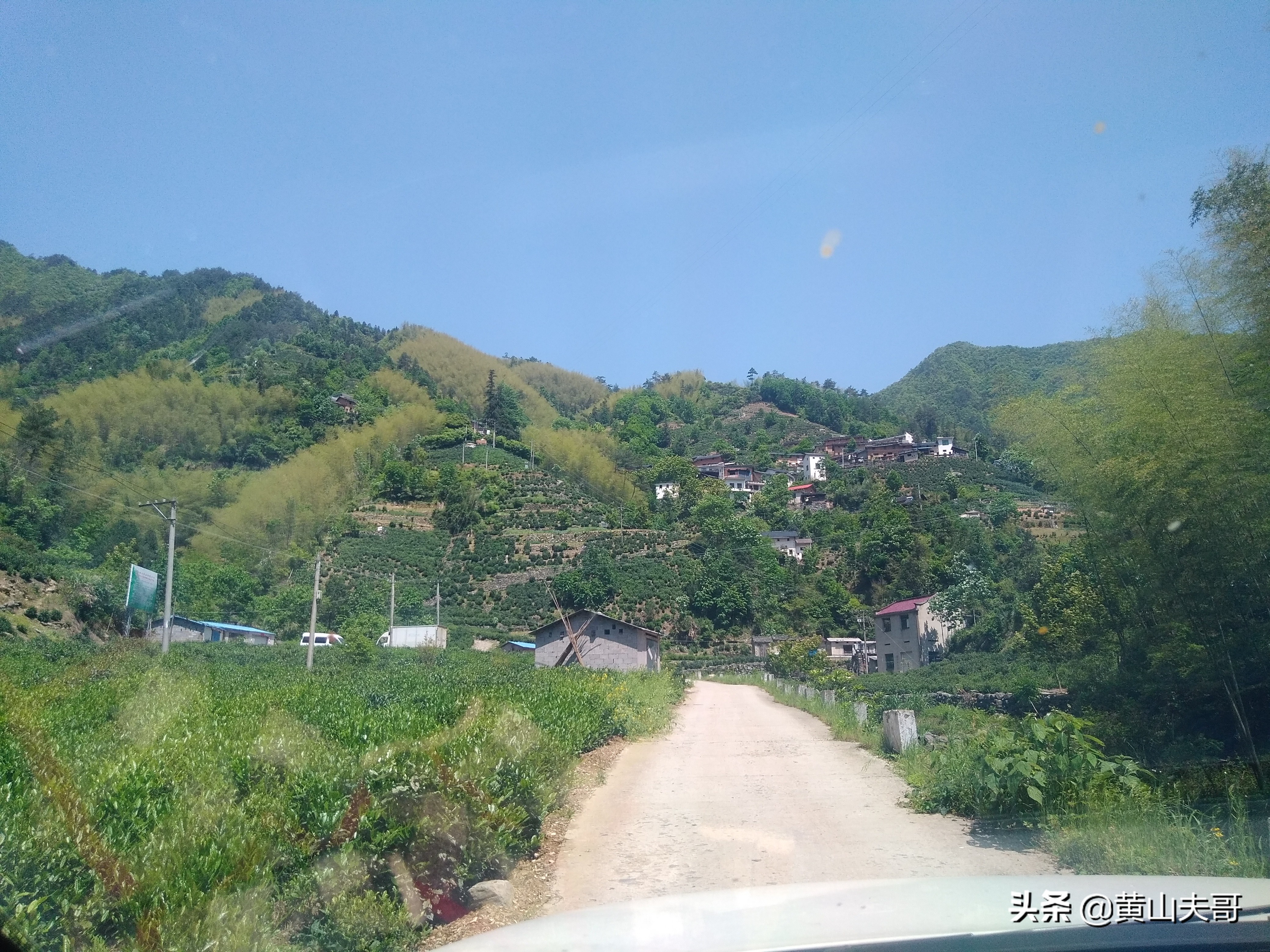 茶中翡翠，歙县滴水香——一颗蒙尘在北纬30°线上的黄山明珠