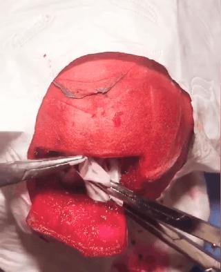 在家憋着干啥挣钱,在家憋着可以玩什么游戏