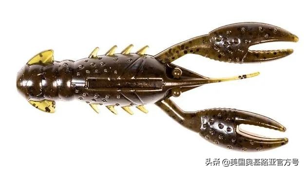 全国各地渔具展,全国渔具展2024