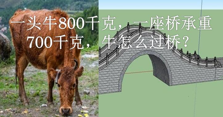 一头牛900斤怎么搭800斤的桥,奇葩面试题一头牛重800千克