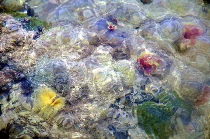 距海南20km有片处女地，比台湾风情比三亚便宜，路过都错过了