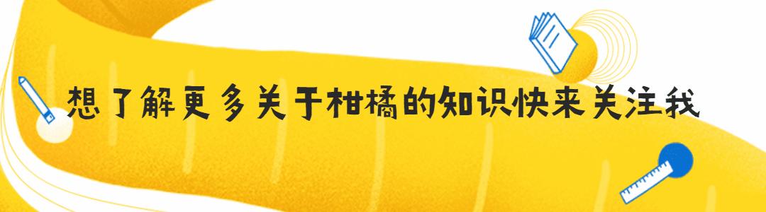 发酵好的酵素怎么样施肥,酵素肥料发酵无氧和有氧的区别