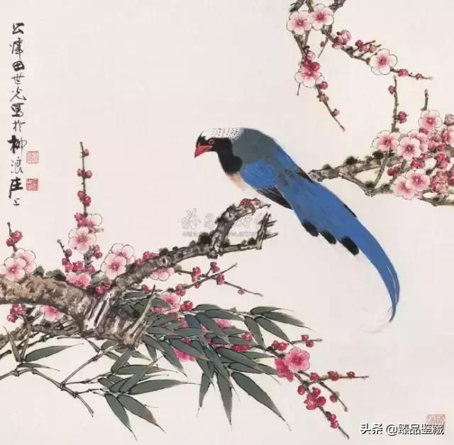 工笔大师田世光,工笔画大师田世光画孔雀好美