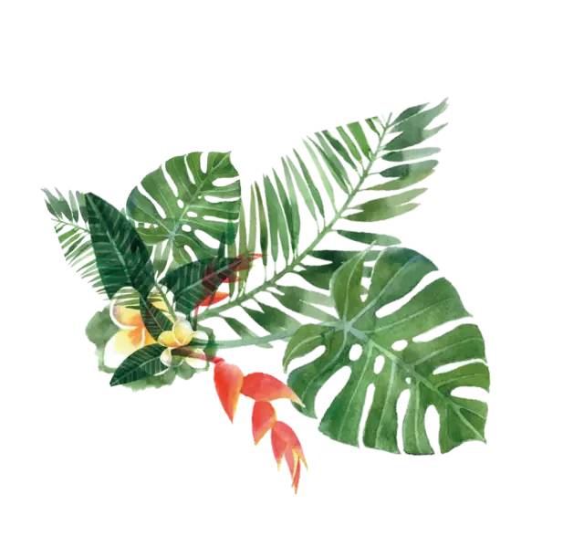 三年级语文句型转换及讲解,三年级语文句型转换练习题