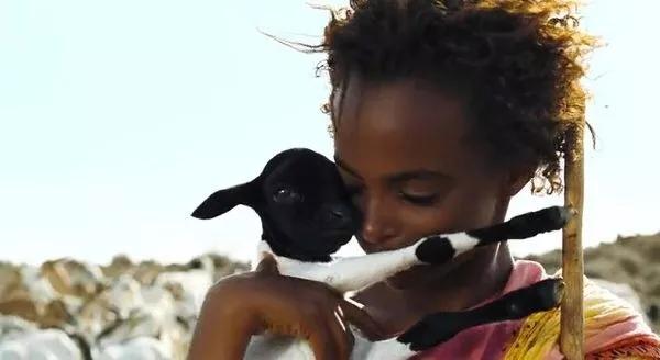 《沙漠之花》|陋习之下的女性命运