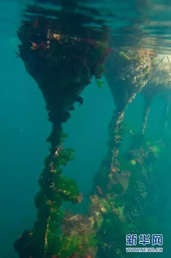 接下来3个月，福州人想吃这些海鲜要多花钱了！因为……