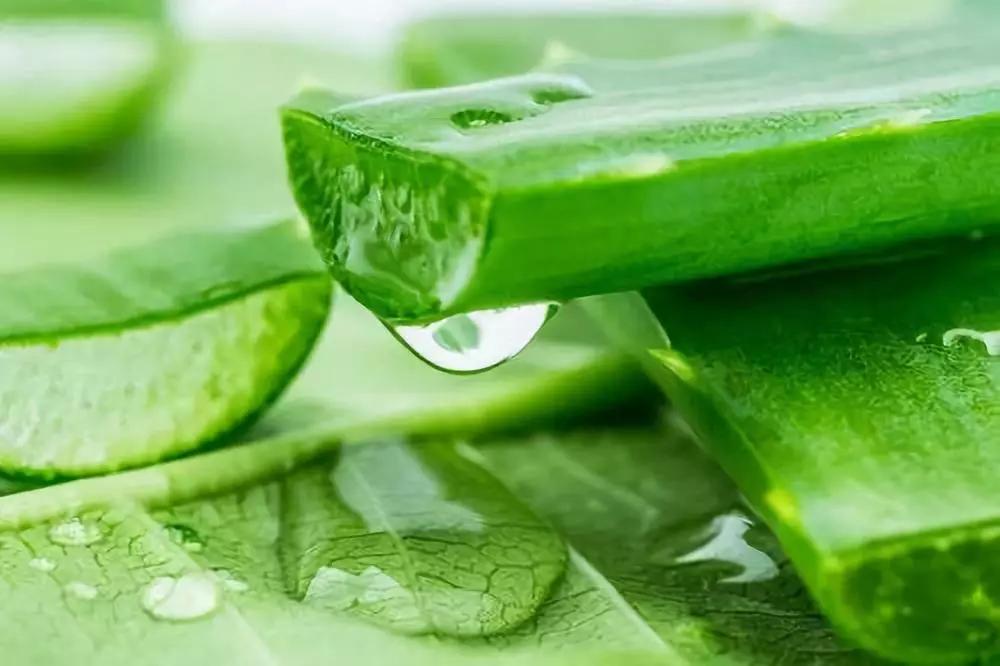 洗手液泡腾片怎么制作洗手液,泡腾片真的可以制作花朵洗手液吗