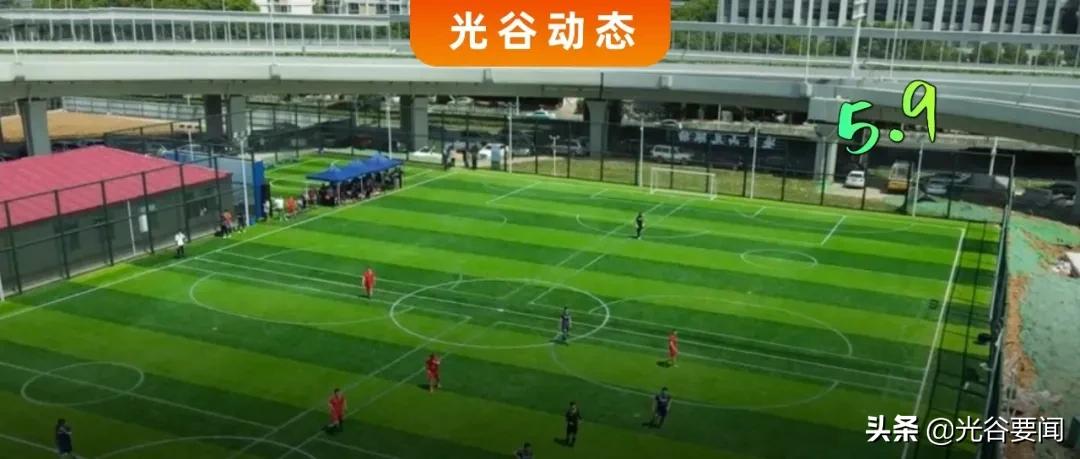 光谷规划专业足球场,光谷生态长廊足球场