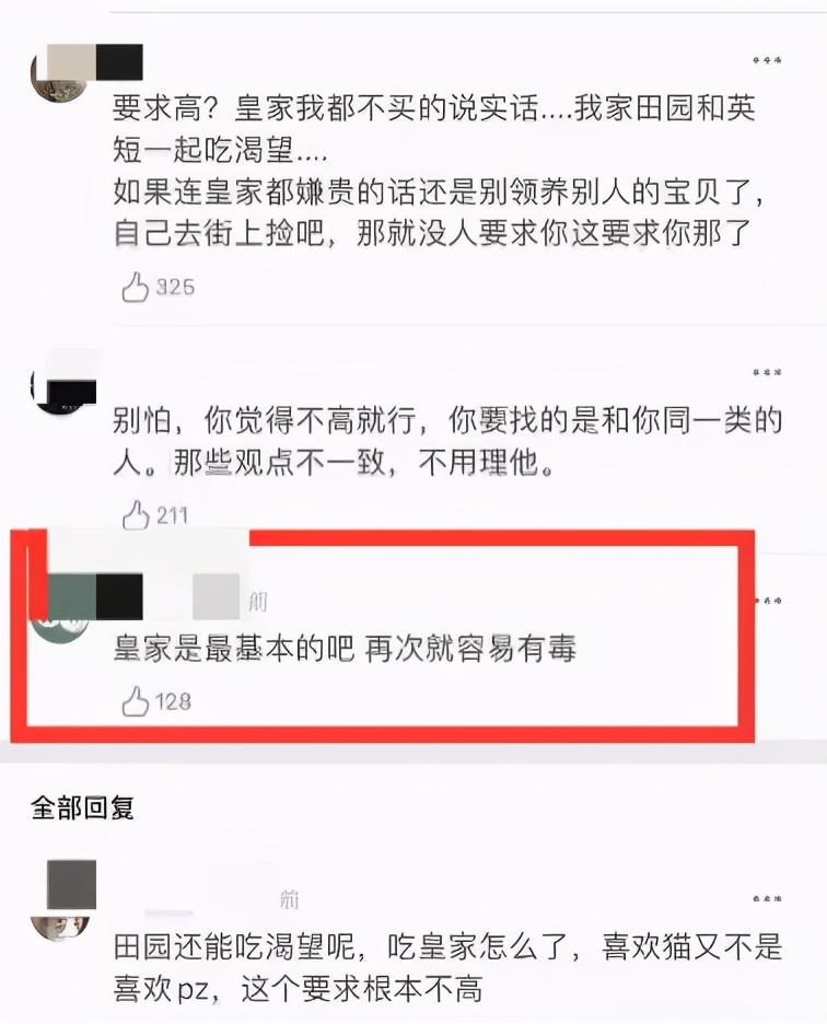 以为单身就可以自由,开始以为养猫是为了不孤单