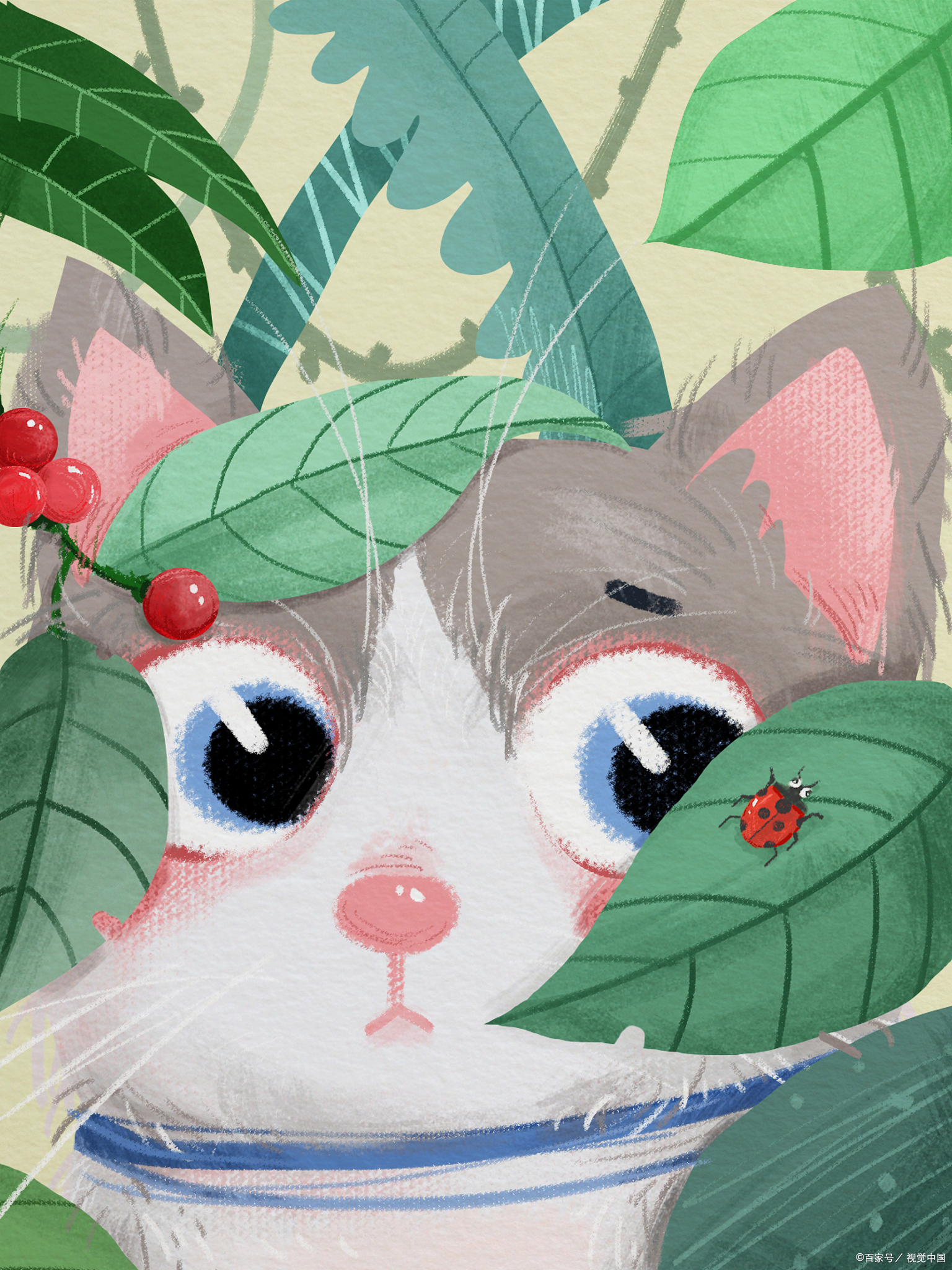 怎么训练猫亲近主人,猫主子训练动作图解