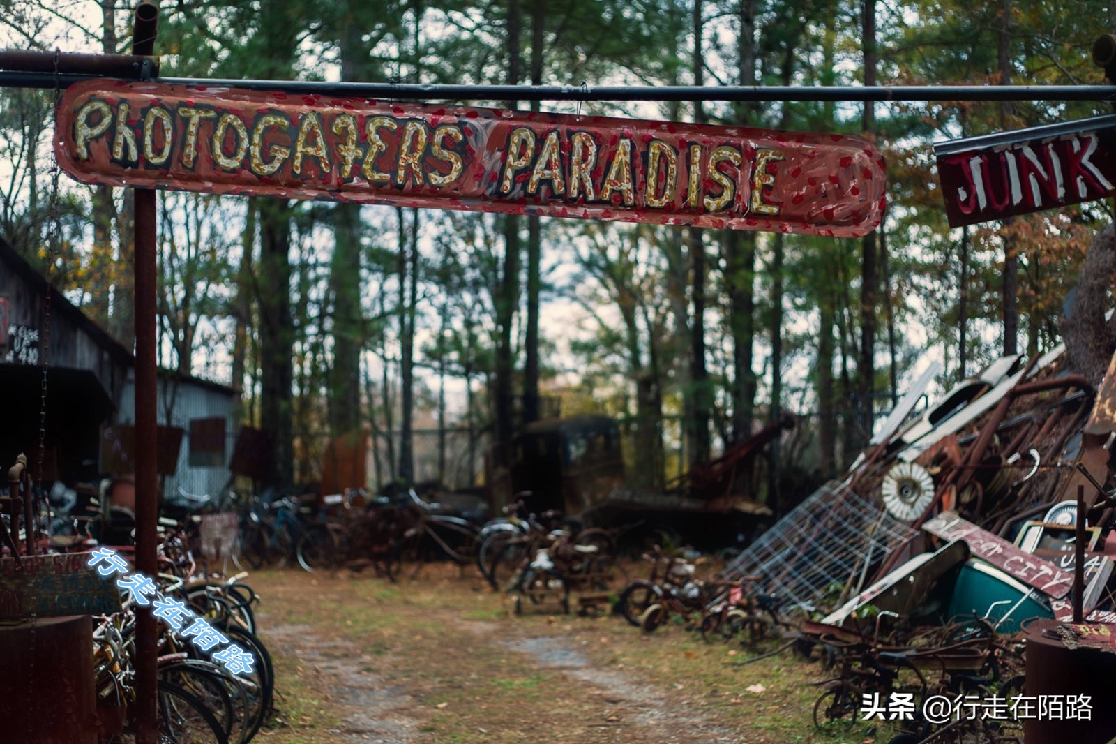 最值钱的废品,最值钱的废品回收