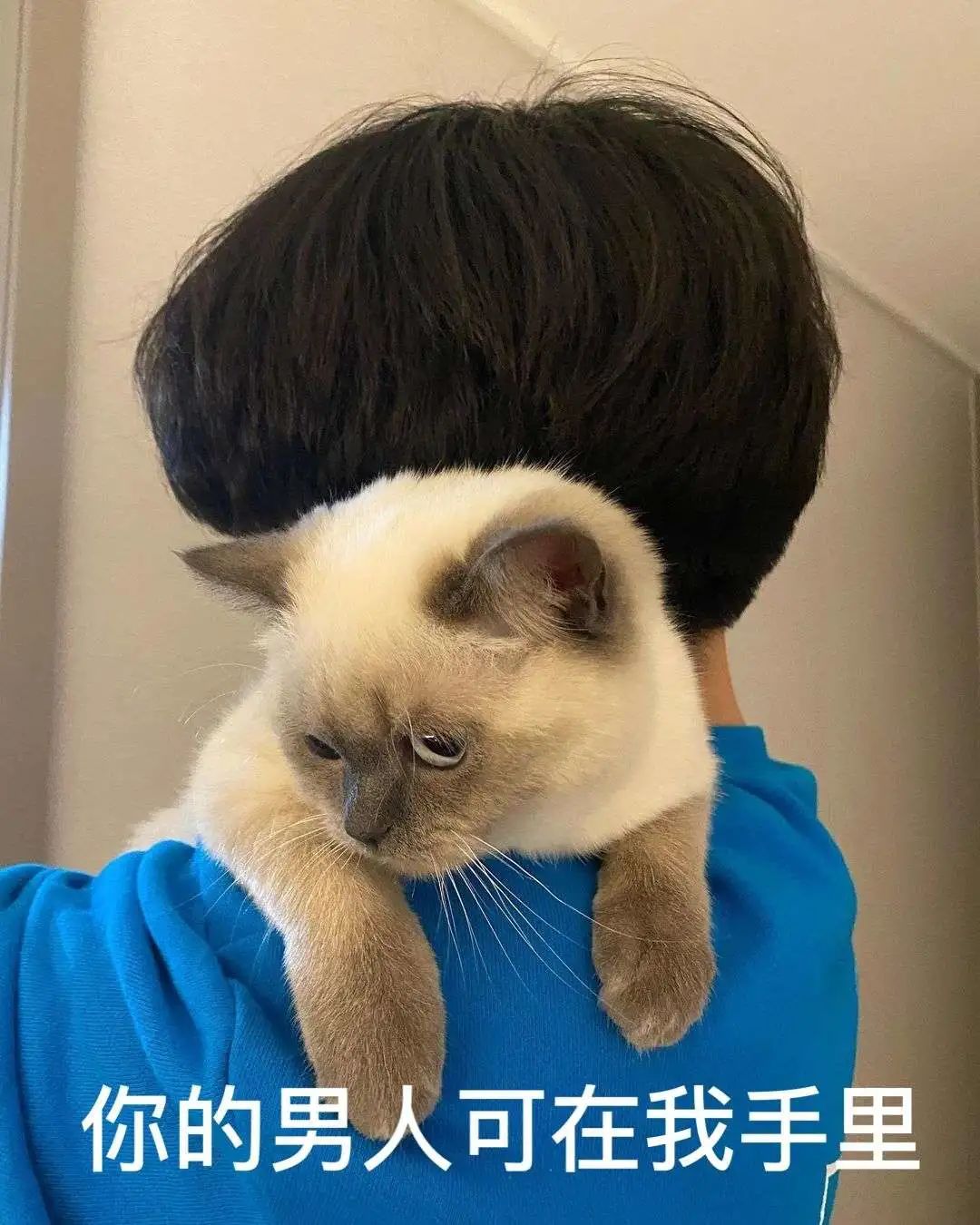 煤老板爆红完整版,煤老板ins