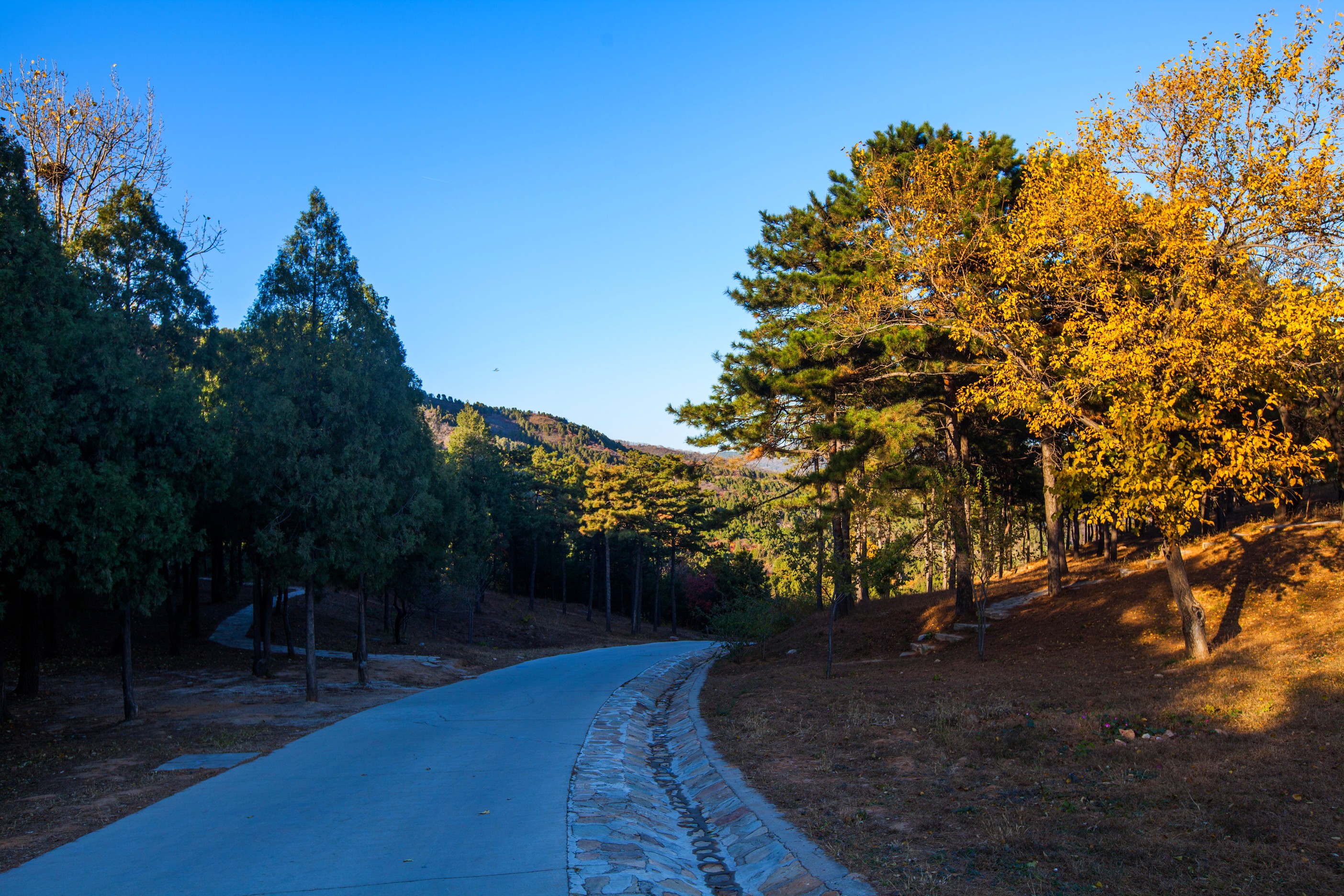 北京西山国家森林公园满满的禅意,深秋的北京西山国家森林公园